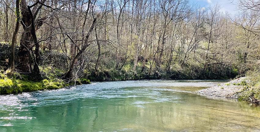 Club Mouche Balmanais